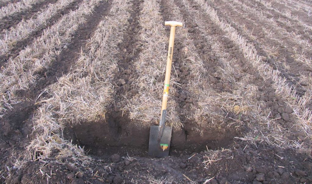 Bodenansprache Strip-Till am IPZ, Bernburg (Quelle: Siv Biada, DLG) 