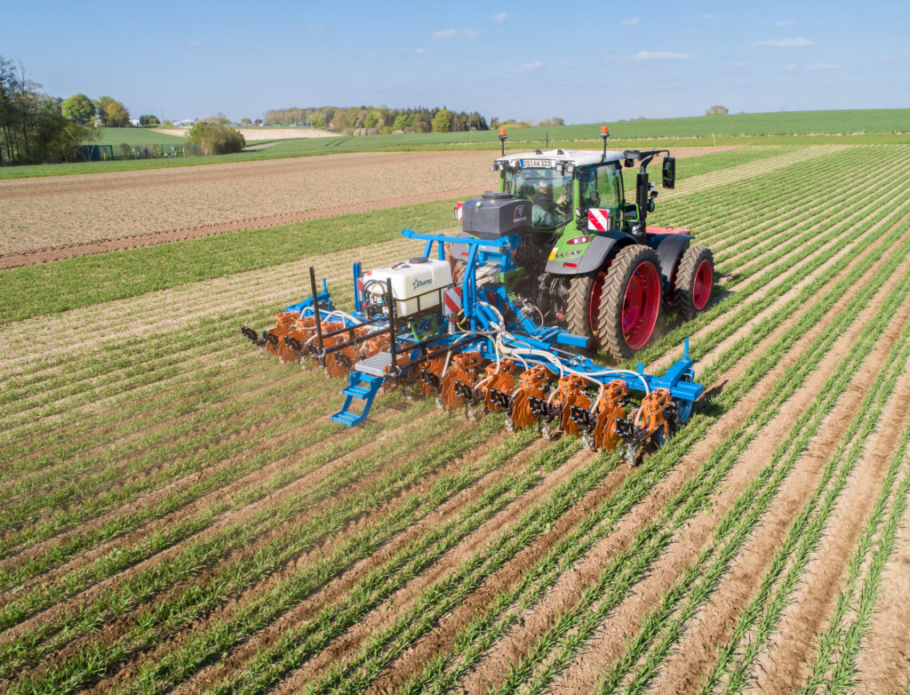 Mechanical weed control with band application and undersown crop in variant “CRF modern“ (C) on 28th April 2022, Schmotzer Select hoeing machine 12 x 50 cm with Startec mounted sprayer and Greendrill 300