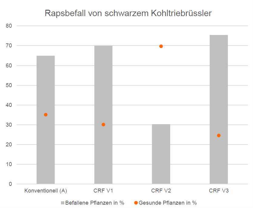 Die Bonitur vom 27. März 2024 verdeutlicht das Ausmaß des Schädlingsbefalls.